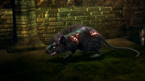 small-undead-rat-large